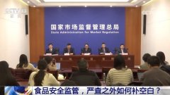 旧事1+1丨食物平安监管 严查之外若何补空白？